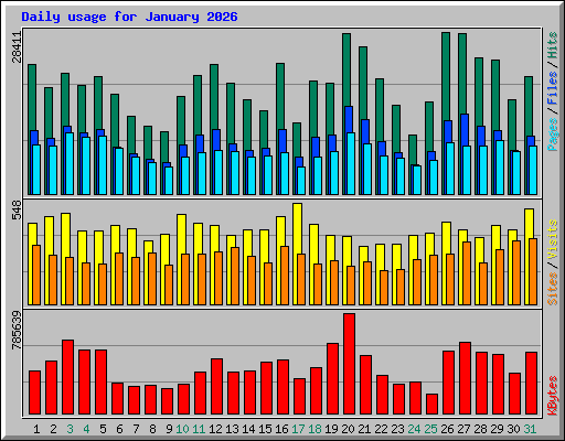 Daily usage for January 2026