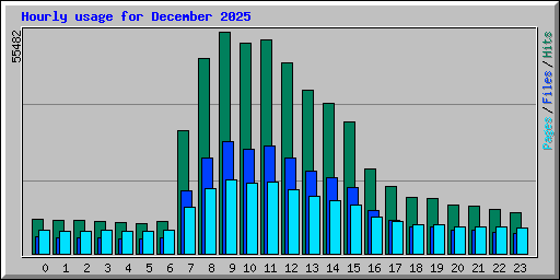 Hourly usage for December 2025
