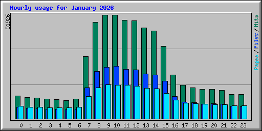 Hourly usage for January 2026