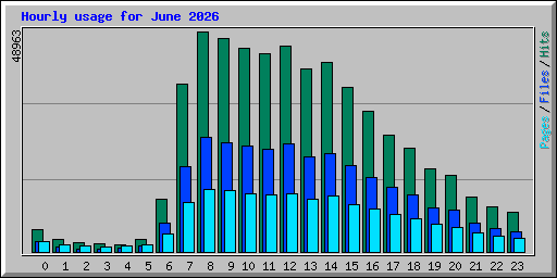 Hourly usage for June 2026