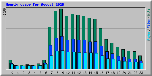 Hourly usage for August 2026